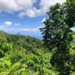 First image of Darley Portland in Darley, Portland, Jamaica - property is For Sale