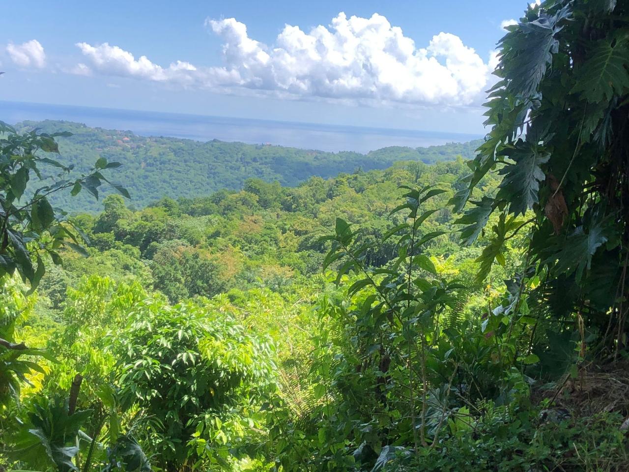 Third image of Darley Portland in Darley, Portland, Jamaica - property is For Sale