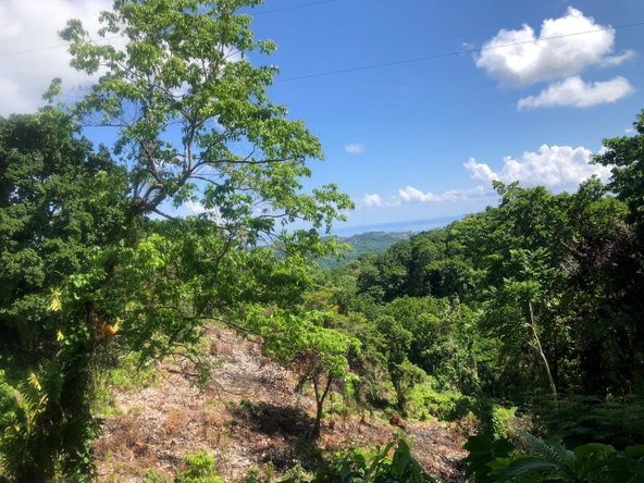 Fifth image of Darley Portland in Darley, Portland, Jamaica - property is For Sale