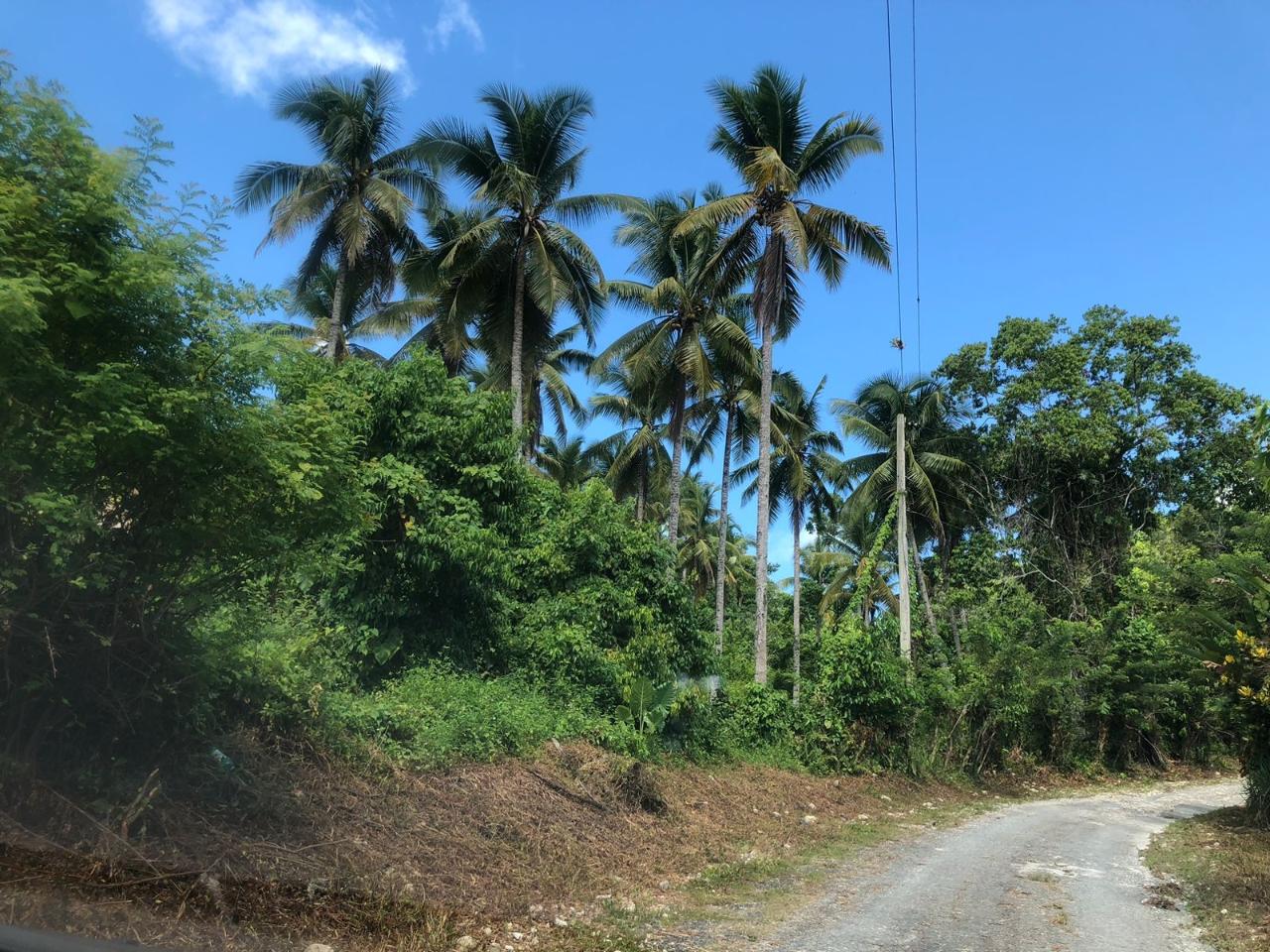 Sixth image of Darley Portland in Darley, Portland, Jamaica - property is For Sale