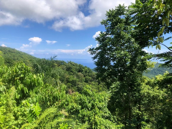 First image of Darley Portland in Darley, Portland, Jamaica - property is For Sale