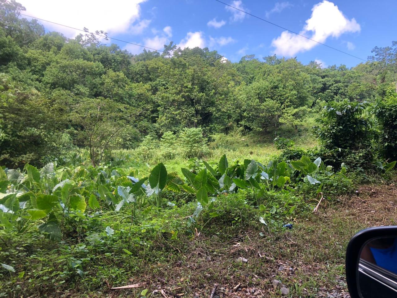 Ninth image of Darley Portland in Darley, Portland, Jamaica - property is For Sale