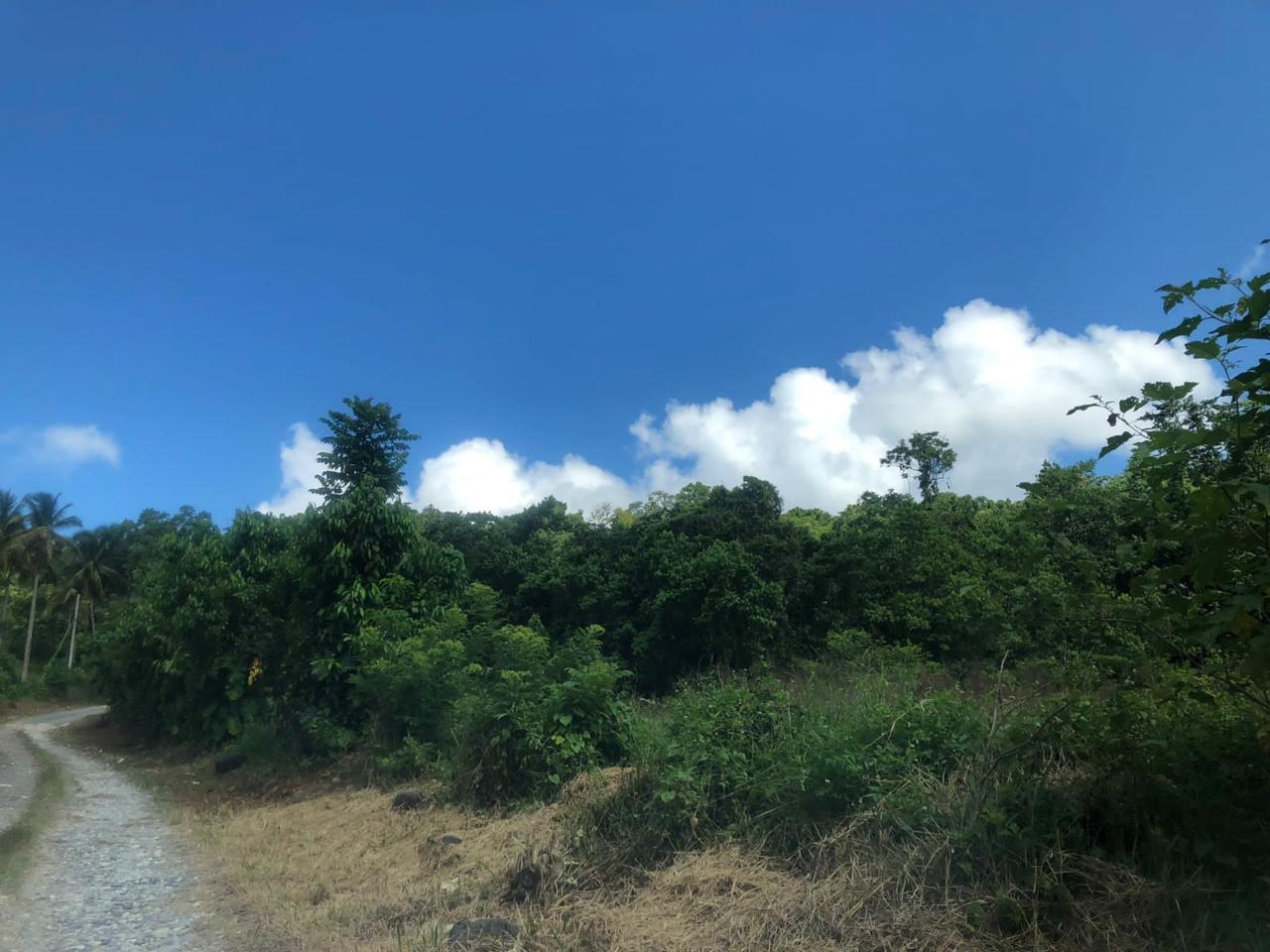 Tenth image of Darley Portland in Darley, Portland, Jamaica - property is For Sale