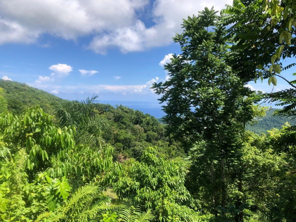 First image of Darley Portland in Darley, Portland, Jamaica - property is For Sale