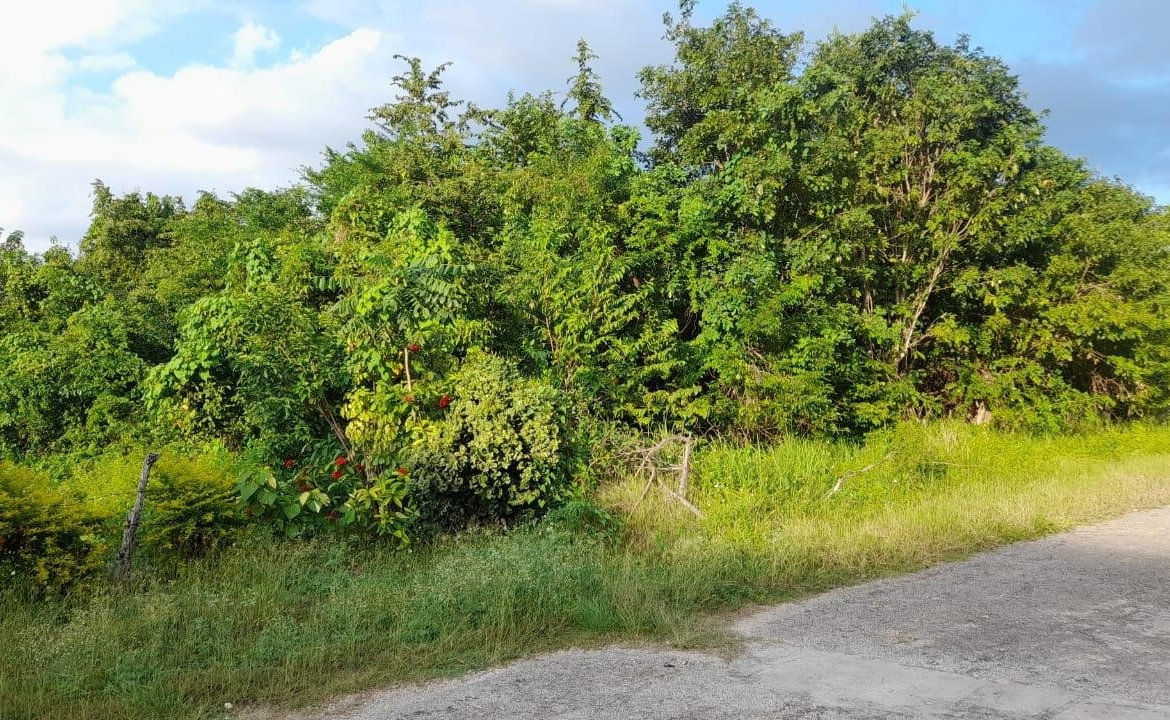 Second image of Lot 17 Primrose Hill, Discovery in Discovery Bay, St. Ann, Jamaica - property is For Sale