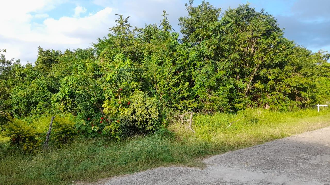 Second image of Lot 17 Primrose Hill, Discovery in Discovery Bay, St. Ann, Jamaica - property is For Sale