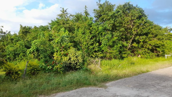 Second image of Lot 17 Primrose Hill, Discovery in Discovery Bay, St. Ann, Jamaica - property is For Sale