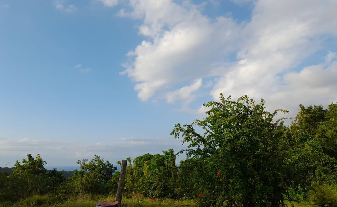 First image of Lot 17 Primrose Hill, Discovery in Discovery Bay, St. Ann, Jamaica - property is For Sale