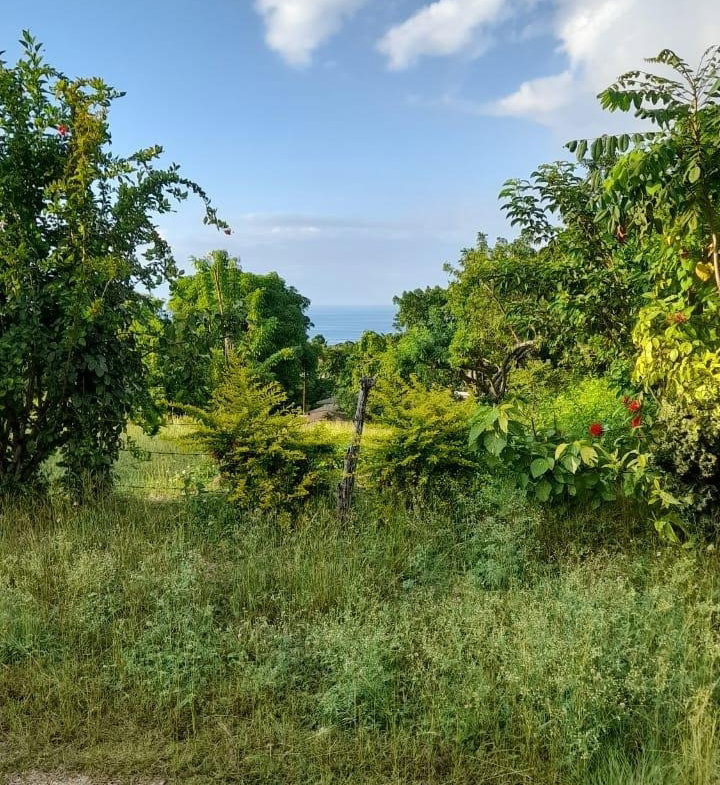 Third image of Lot 17 Primrose Hill, Discovery in Discovery Bay, St. Ann, Jamaica - property is For Sale