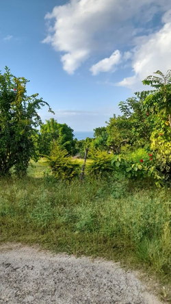 Third image of Lot 17 Primrose Hill, Discovery in Discovery Bay, St. Ann, Jamaica - property is For Sale