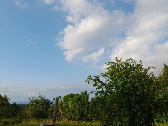 First image of Lot 17 Primrose Hill, Discovery in Discovery Bay, St. Ann, Jamaica - property is For Sale