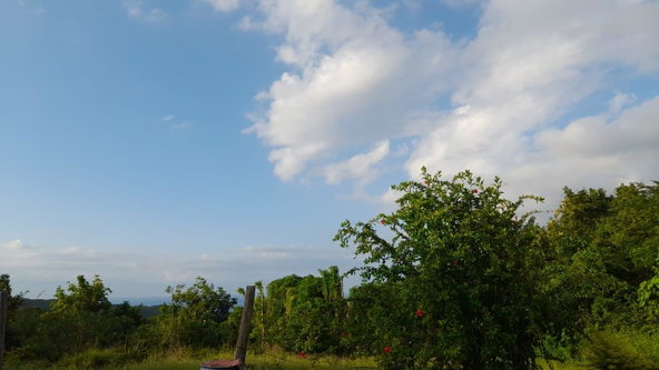 First image of Lot 17 Primrose Hill, Discovery in Discovery Bay, St. Ann, Jamaica - property is For Sale