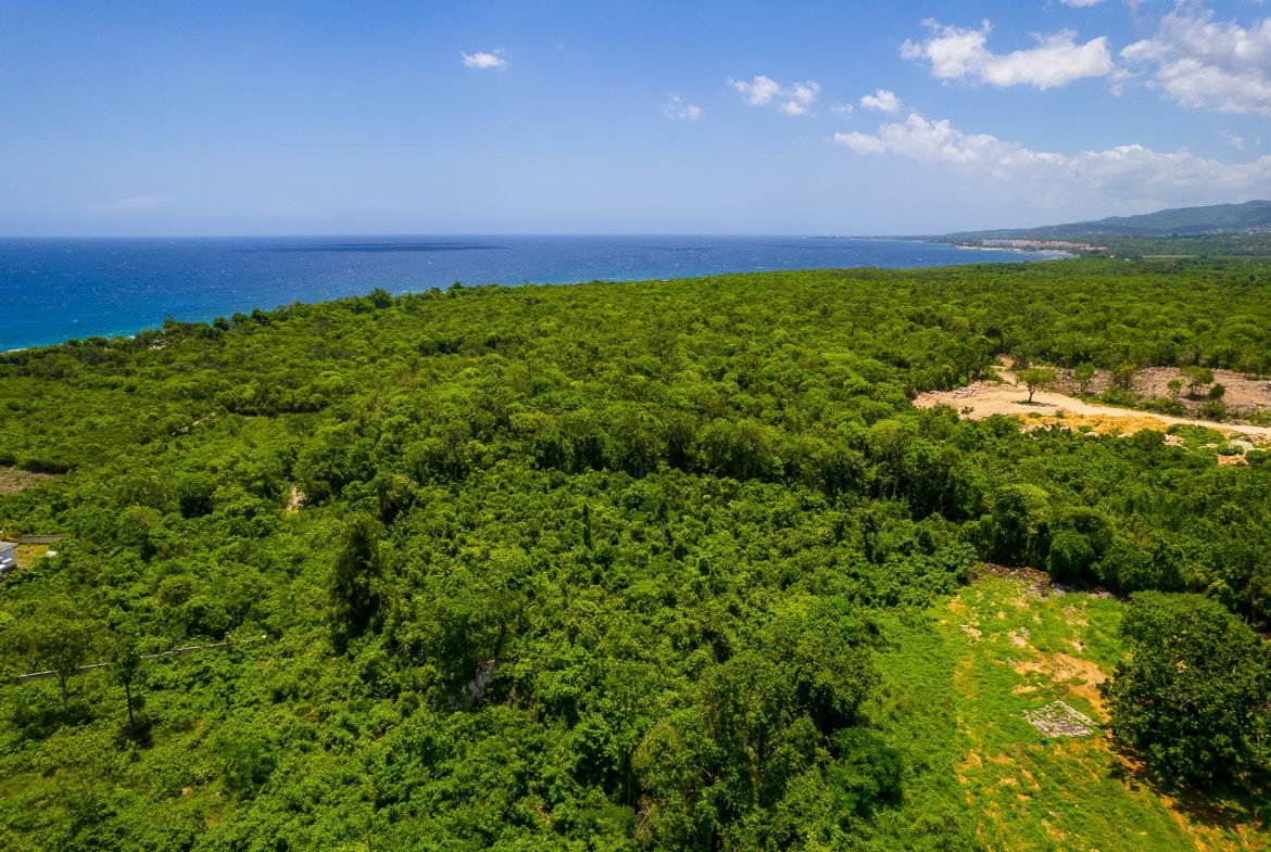 Sixth image of Diary Road in Discovery Bay, St. Ann, Jamaica - property is For Sale