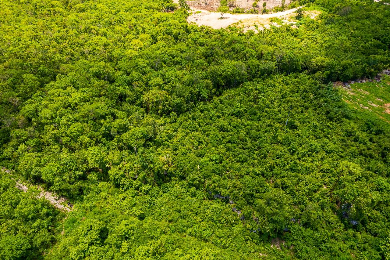 Seventh image of Diary Road in Discovery Bay, St. Ann, Jamaica - property is For Sale