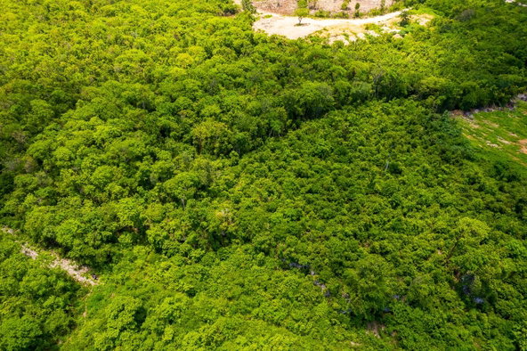 Seventh image of Diary Road in Discovery Bay, St. Ann, Jamaica - property is For Sale