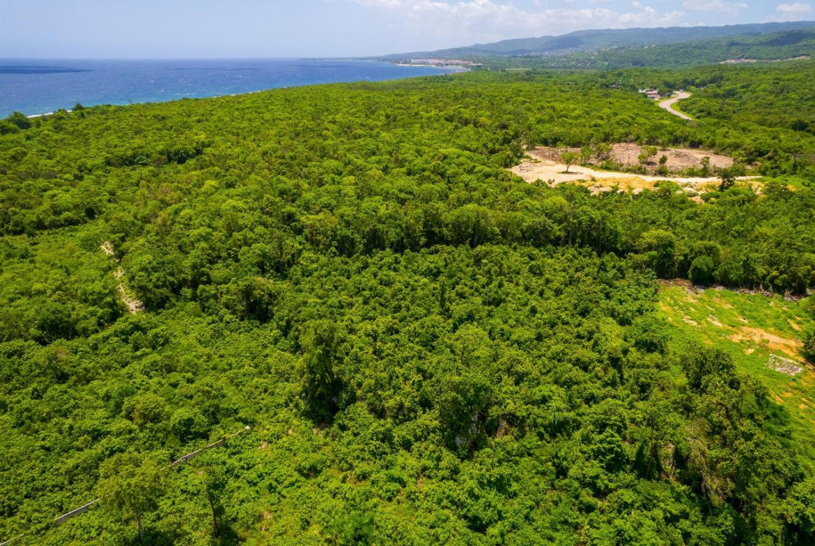 Tenth image of Diary Road in Discovery Bay, St. Ann, Jamaica - property is For Sale