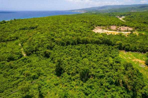 Tenth image of Diary Road in Discovery Bay, St. Ann, Jamaica - property is For Sale