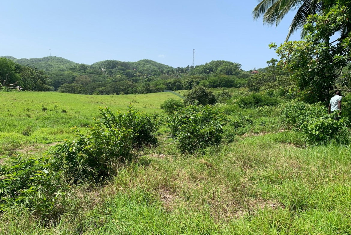 Second image of Duanvale, Trelawny in Duanvale, Trelawny, Jamaica - property is For Sale