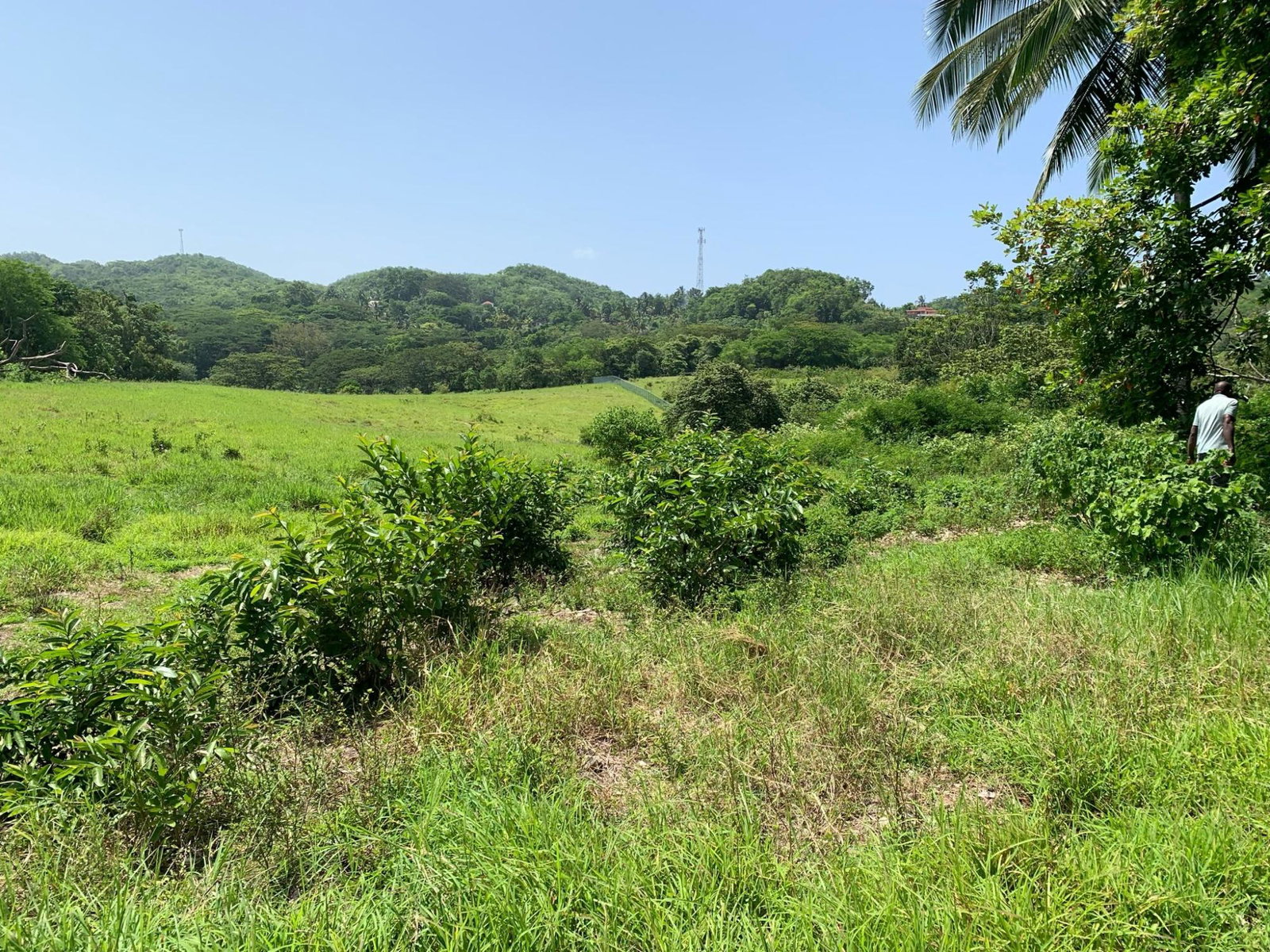 Second image of Duanvale, Trelawny in Duanvale, Trelawny, Jamaica - property is For Sale