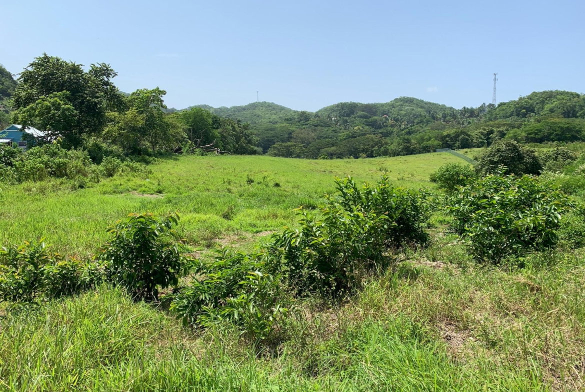 First image of Duanvale, Trelawny in Duanvale, Trelawny, Jamaica - property is For Sale