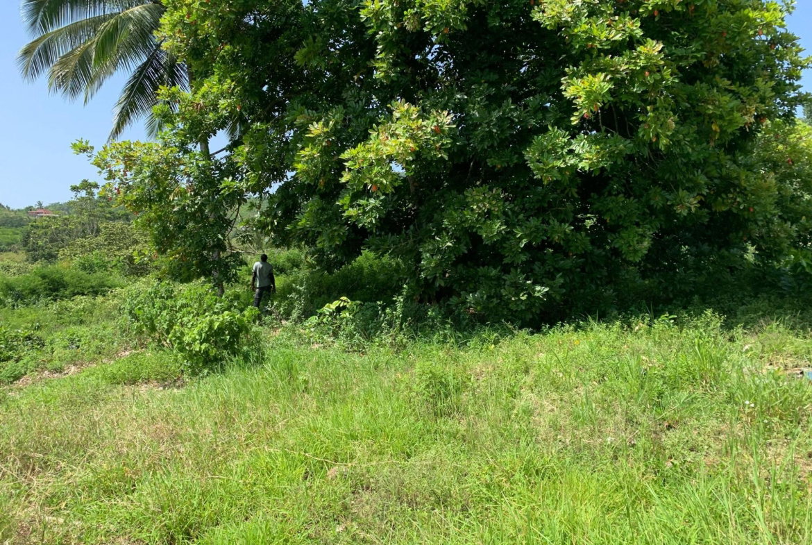 Third image of Duanvale, Trelawny in Duanvale, Trelawny, Jamaica - property is For Sale