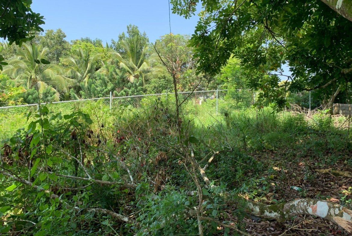 Fourth image of Duanvale, Trelawny in Duanvale, Trelawny, Jamaica - property is For Sale