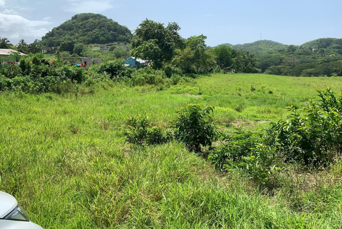 Fifth image of Duanvale, Trelawny in Duanvale, Trelawny, Jamaica - property is For Sale