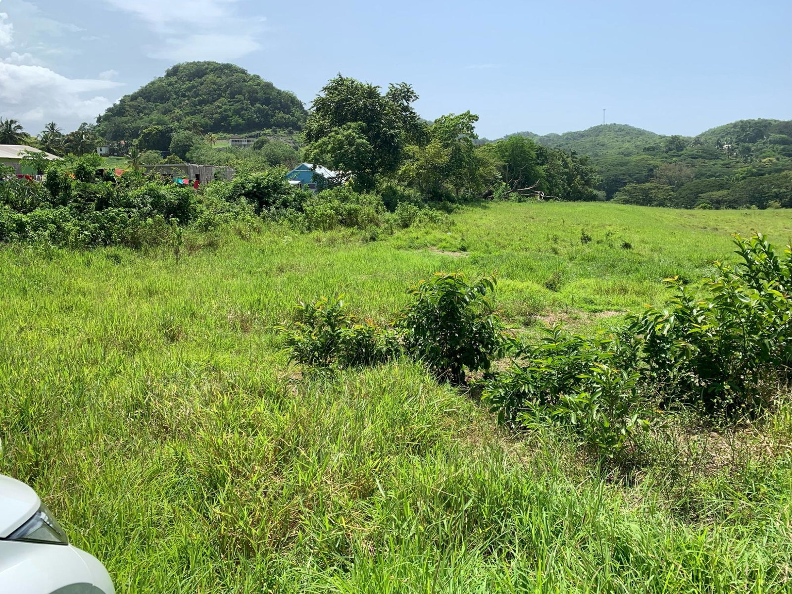 Fifth image of Duanvale, Trelawny in Duanvale, Trelawny, Jamaica - property is For Sale