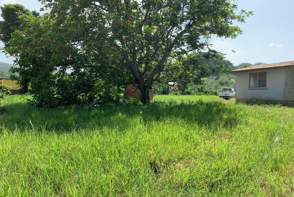 Seventh image of Duanvale, Trelawny in Duanvale, Trelawny, Jamaica - property is For Sale