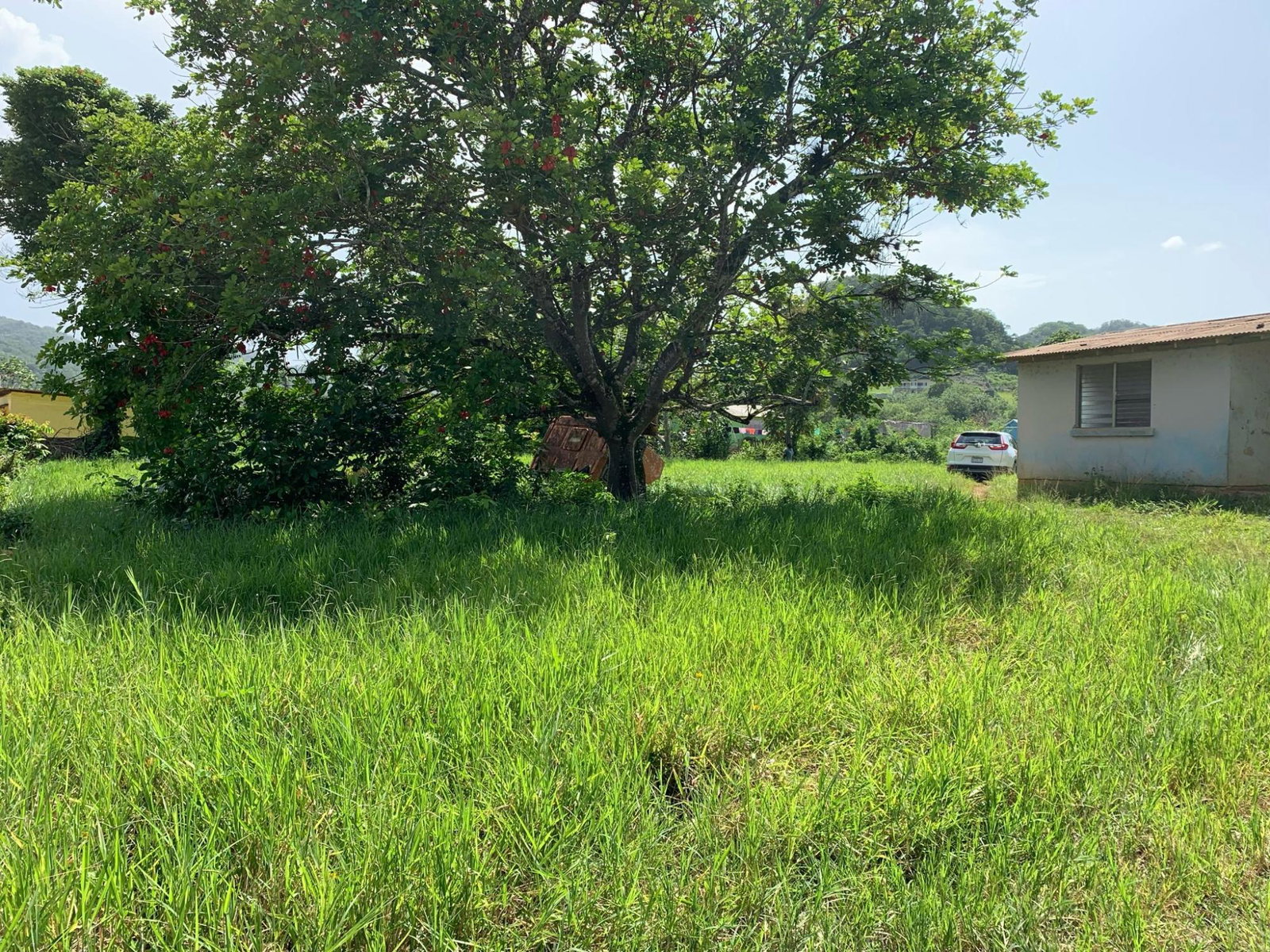 Seventh image of Duanvale, Trelawny in Duanvale, Trelawny, Jamaica - property is For Sale