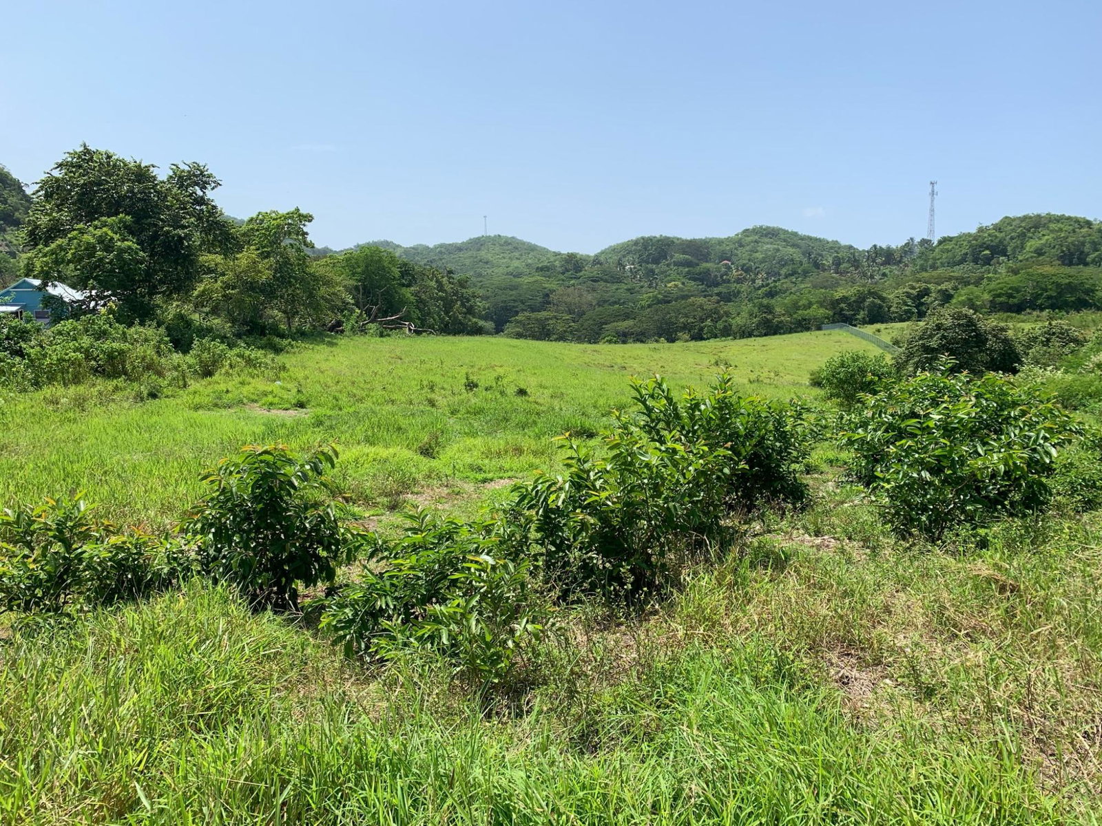 First image of Duanvale, Trelawny in Duanvale, Trelawny, Jamaica - property is For Sale