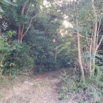 First image of Little River, Ironshore in Montego Bay, St. James, Jamaica - property is For Sale