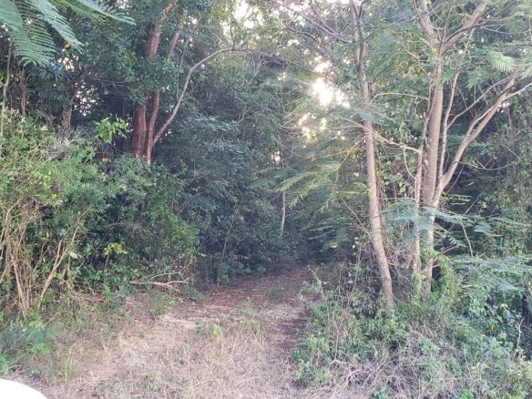 First image of Little River, Ironshore in Montego Bay, St. James, Jamaica - property is For Sale