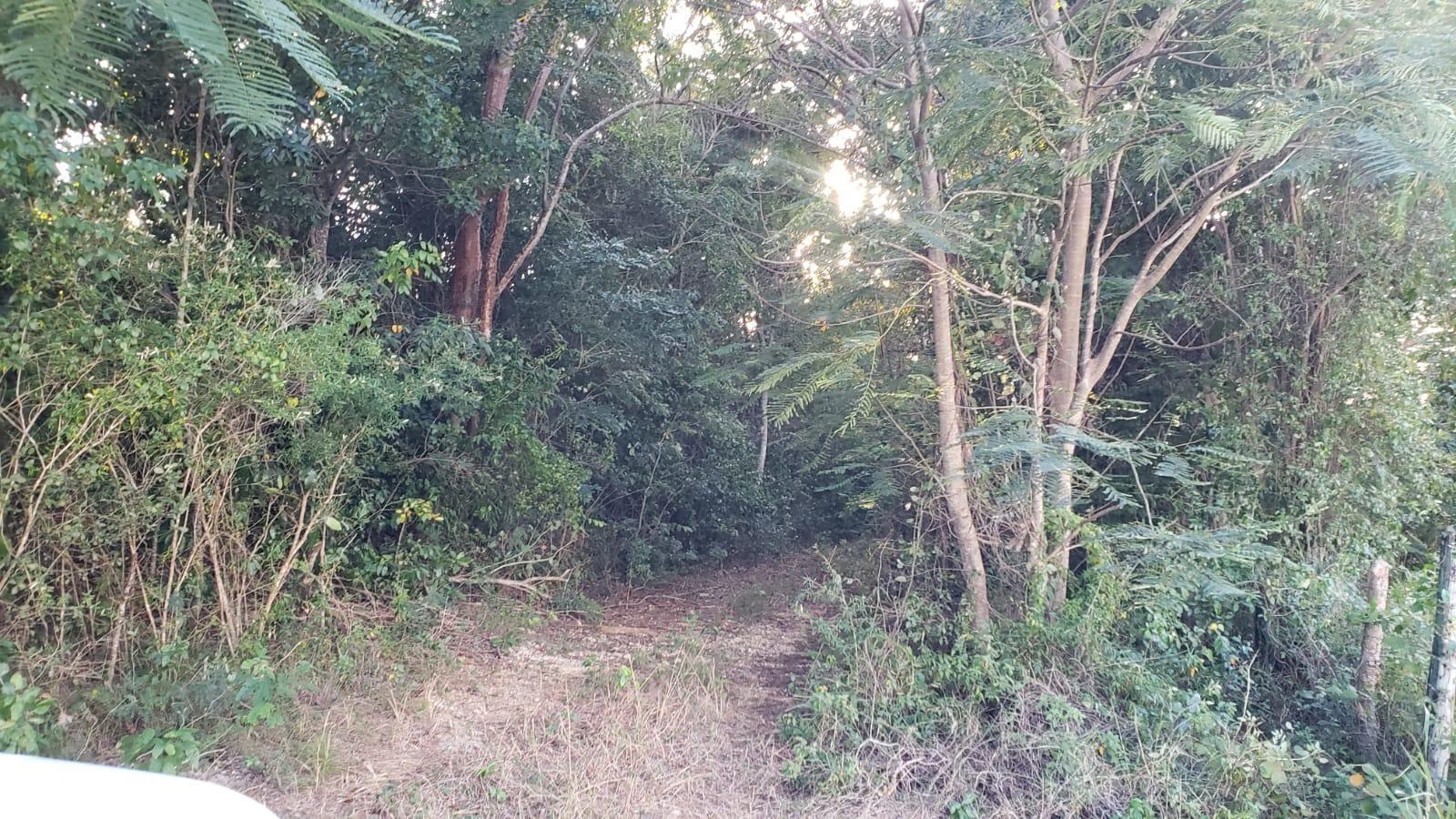 First image of Little River, Ironshore in Montego Bay, St. James, Jamaica - property is For Sale