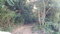 First image of Little River, Ironshore in Montego Bay, St. James, Jamaica - property is For Sale