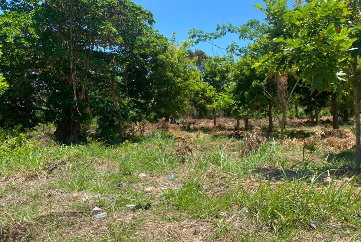 Third image of Spring Valley Beach in Tower Isle, St. Mary, Jamaica - property is For Sale