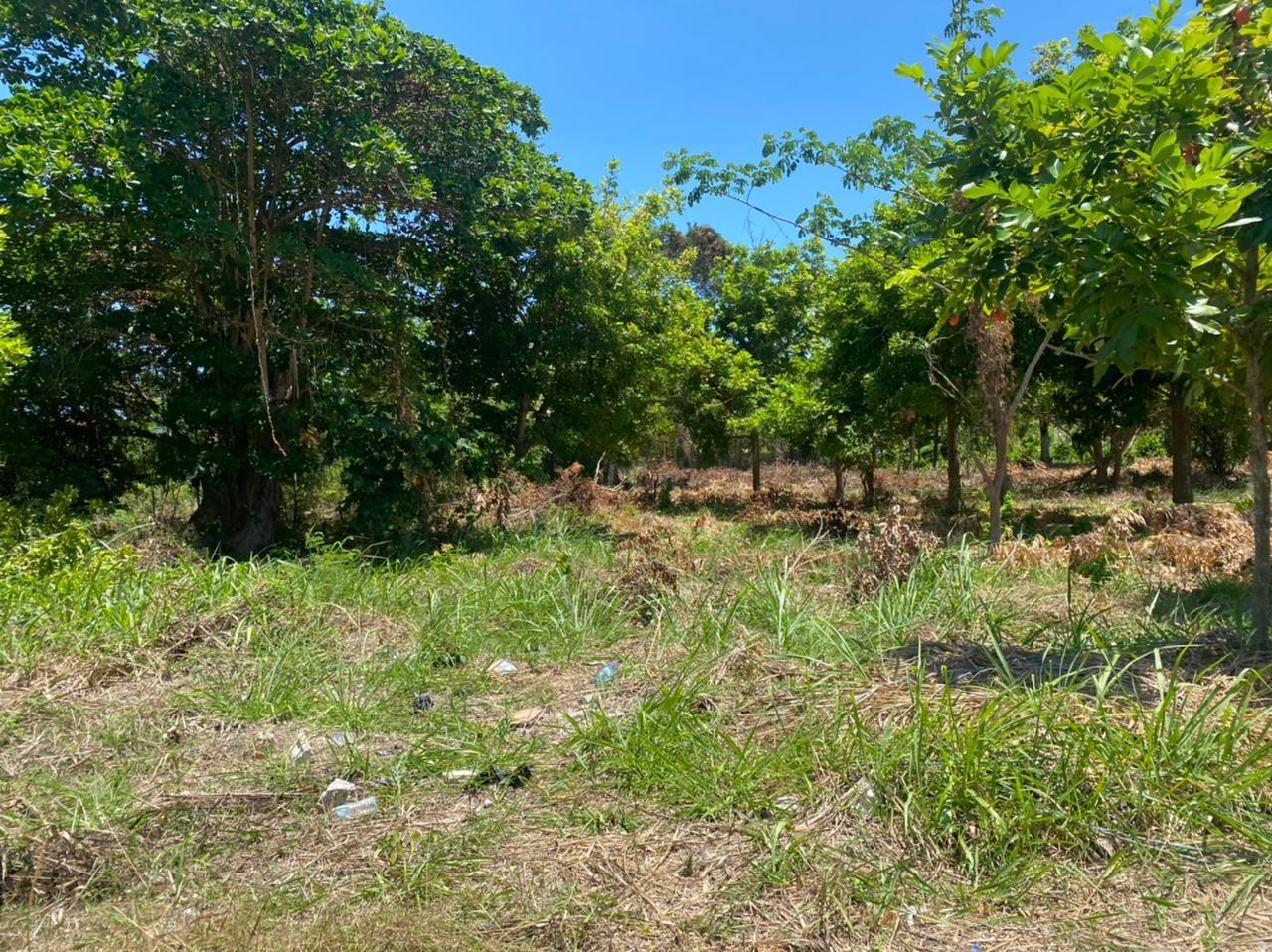 Third image of Spring Valley Beach in Tower Isle, St. Mary, Jamaica - property is For Sale