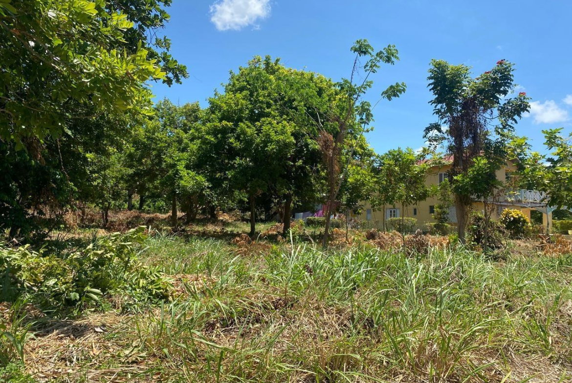 Fourth image of Spring Valley Beach in Tower Isle, St. Mary, Jamaica - property is For Sale