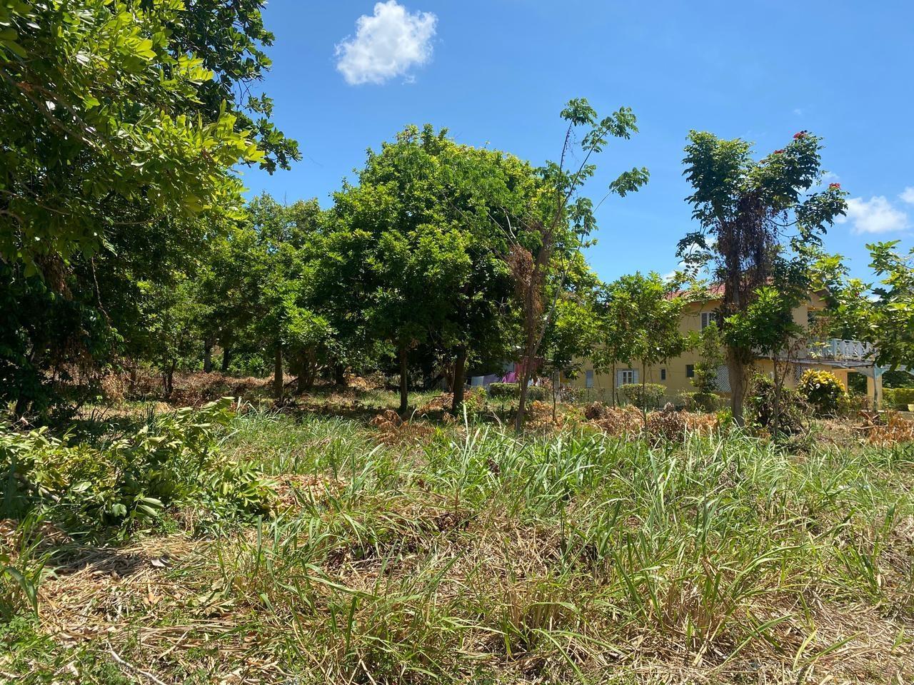 Fourth image of Spring Valley Beach in Tower Isle, St. Mary, Jamaica - property is For Sale