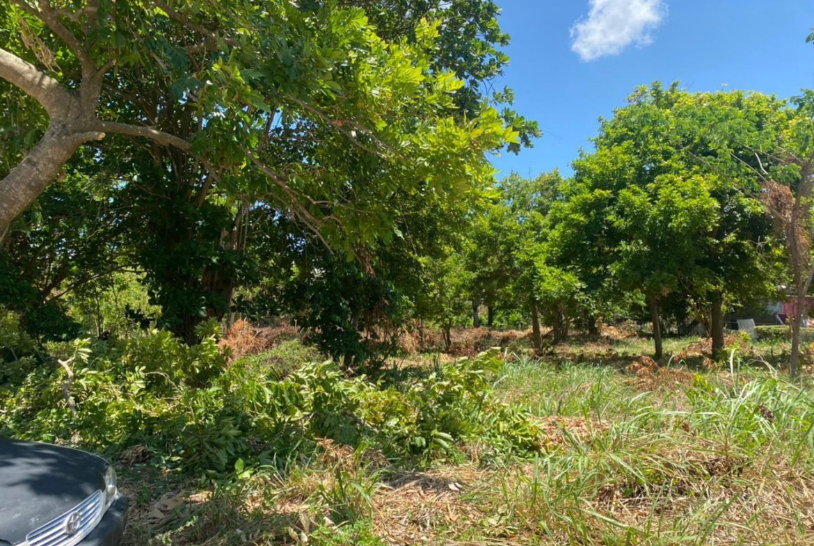 Sixth image of Spring Valley Beach in Tower Isle, St. Mary, Jamaica - property is For Sale