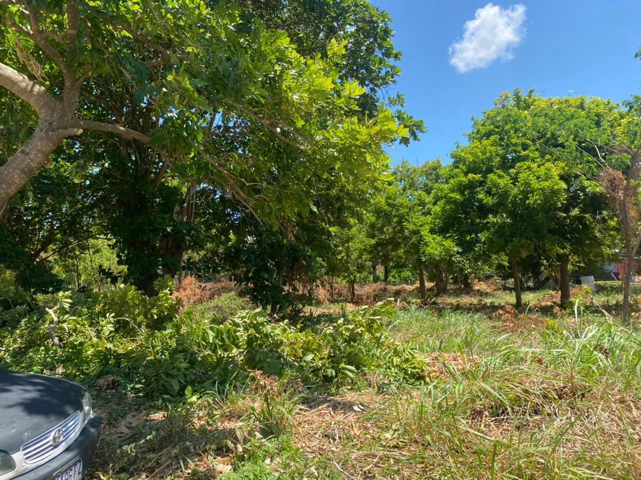 Sixth image of Spring Valley Beach in Tower Isle, St. Mary, Jamaica - property is For Sale