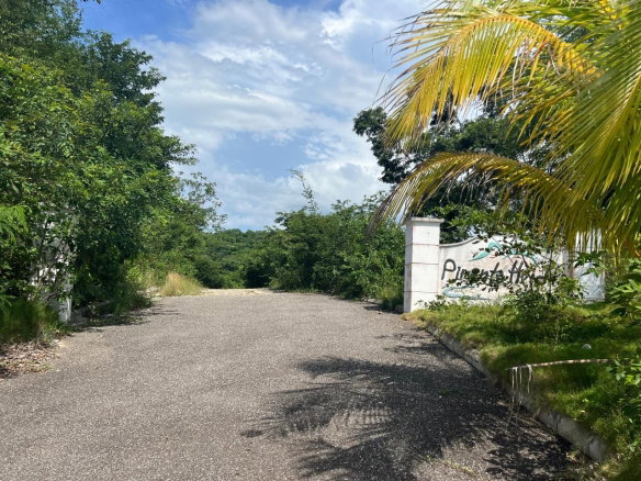 First image of Lot 4 Pedro Pen in Pedro Pen, Hanover, Jamaica - property is For Sale
