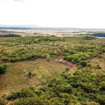 First image of Bammy Hall Kitson Town st in Guanaboa Vale, St. Catherine, Jamaica - property is For Sale