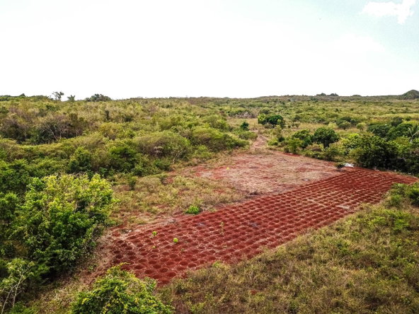 Twenty-Eighth image of Bammy Hall Kitson Town st in Guanaboa Vale, St. Catherine, Jamaica - property is For Sale
