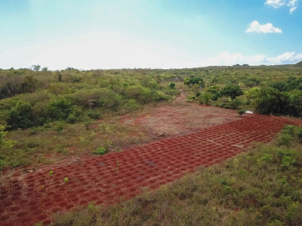 Thirtieth image of Bammy Hall Kitson Town st in Guanaboa Vale, St. Catherine, Jamaica - property is For Sale
