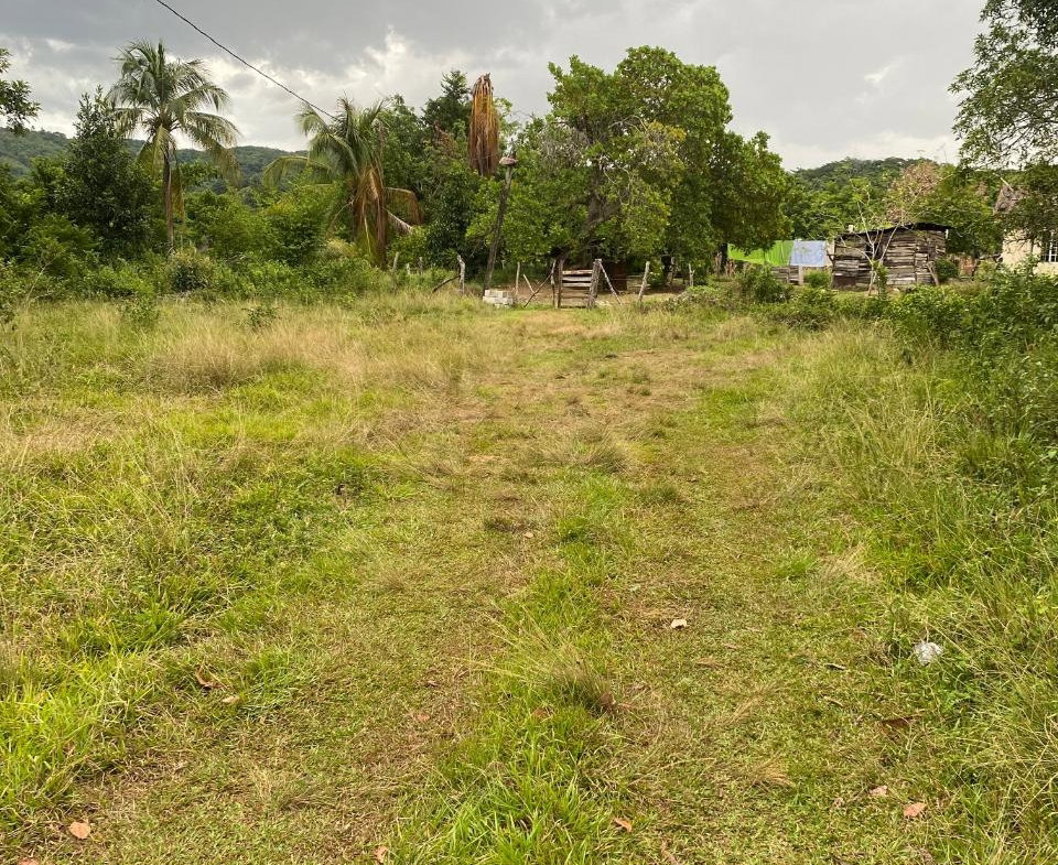 Eleventh image of Lacovia st Elizabeth in Lacovia, St. Elizabeth, Jamaica - property is For Sale