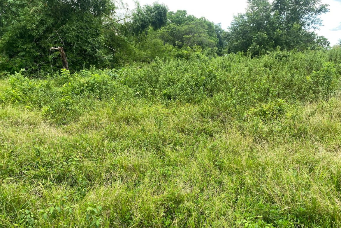 Sixteenth image of Lacovia st Elizabeth in Lacovia, St. Elizabeth, Jamaica - property is For Sale