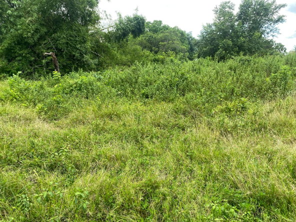 Eighteenth image of Lacovia st Elizabeth in Lacovia, St. Elizabeth, Jamaica - property is For Sale