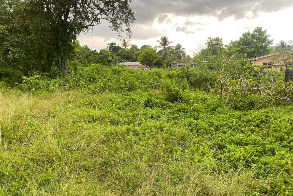 Nineteenth image of Lacovia st Elizabeth in Lacovia, St. Elizabeth, Jamaica - property is For Sale