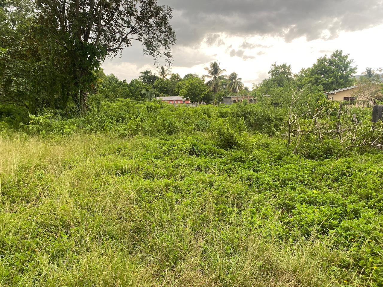 Nineteenth image of Lacovia st Elizabeth in Lacovia, St. Elizabeth, Jamaica - property is For Sale